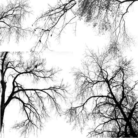 Кисть для фотошопа - Деревья