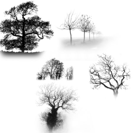 Кисть для фотошопа - Деревья