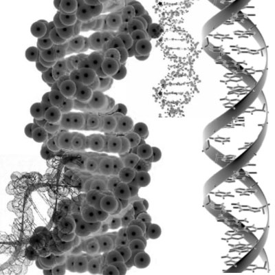 Кисть для фотошопа - ДНК