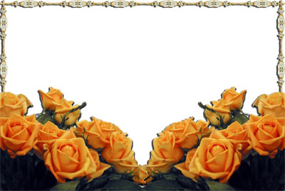 Рамка для фото - Желтые розы