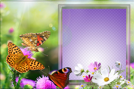 Рамка для фото  - Бабочки на цветах