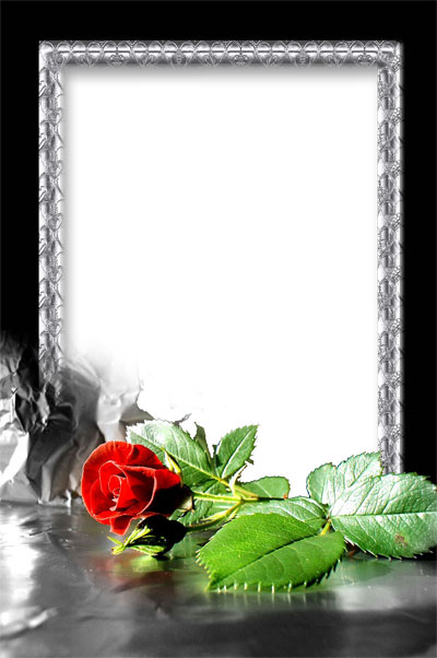 Рамка для фото - Красная роза