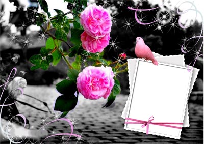 Рамка для фото - Прекрасные розы