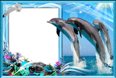 Рамка для фото - С дельфинами