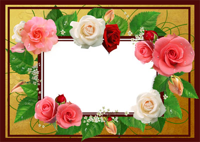 Рамка для фото - Прекрасные розы