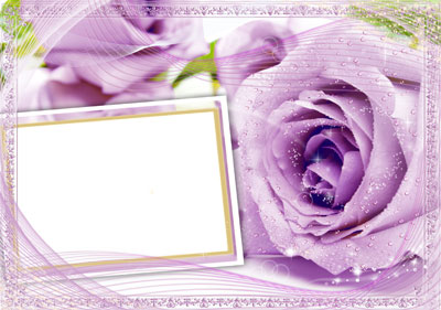 Рамка для фото - Сиреневые розы