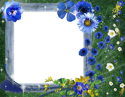 Рамка для фото - Синие васильки