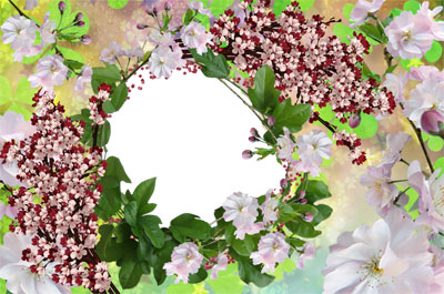 Рамка для фото - Весенний цвет