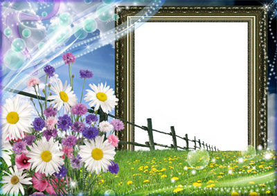 Рамка для фото - Полевые цветы