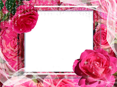 Рамка для фото - Яркие розы