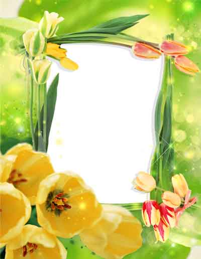 Рамка для фото - Желтые тюльпаны