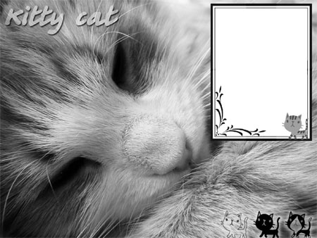 Рамка для фото - five grey cats