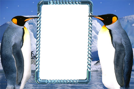 Рамка для фото - Пингвинчики.
