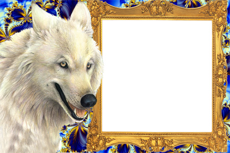 Рамка для фото - Белый волк.
