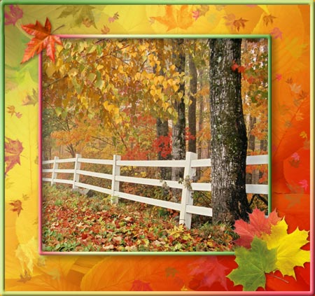 Рамка для фото - Золотая Осень.