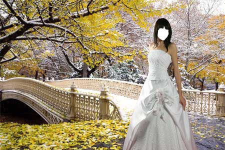 Шаблон для фото - Невеста в зимнем саду.